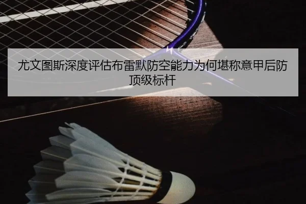 尤文图斯深度评估布雷默防空能力为何堪称意甲后防顶级标杆